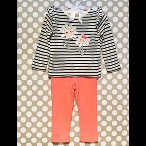 Gymboree - Toddler Girl’s Outfit